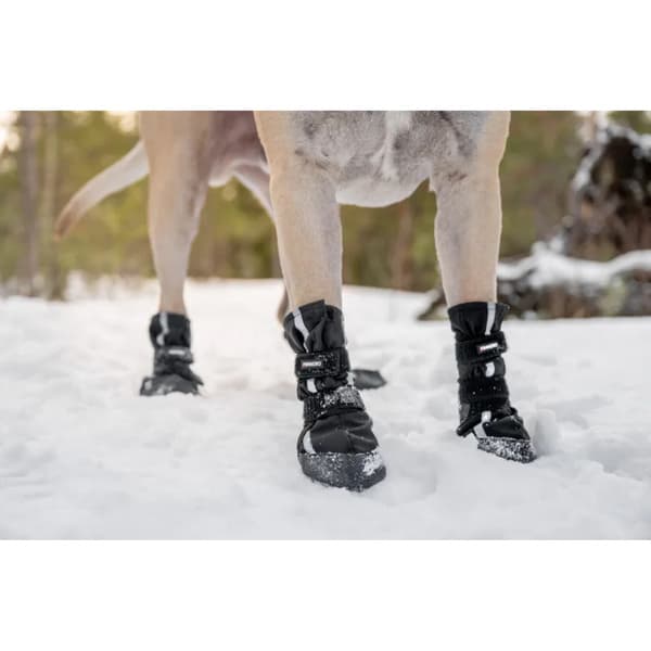 Hundsko Halla Softshell 4 Pack Svart, view: 2