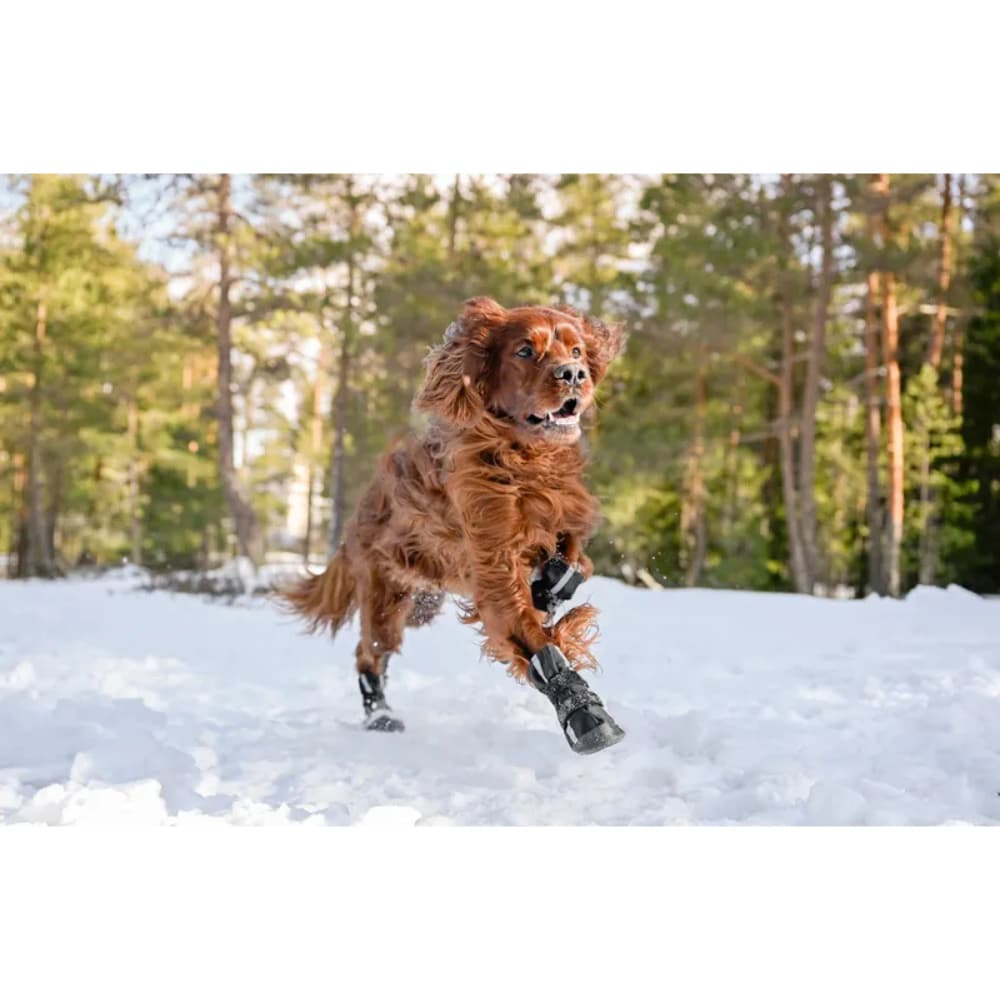 Hundsko Halla Softshell 4 Pack Svart, view: 4