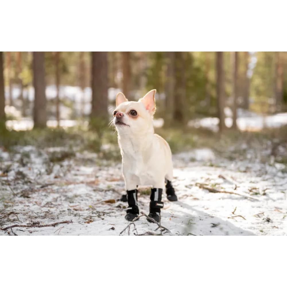 Hundsko Halla Softshell 4 Pack Svart, view: 6