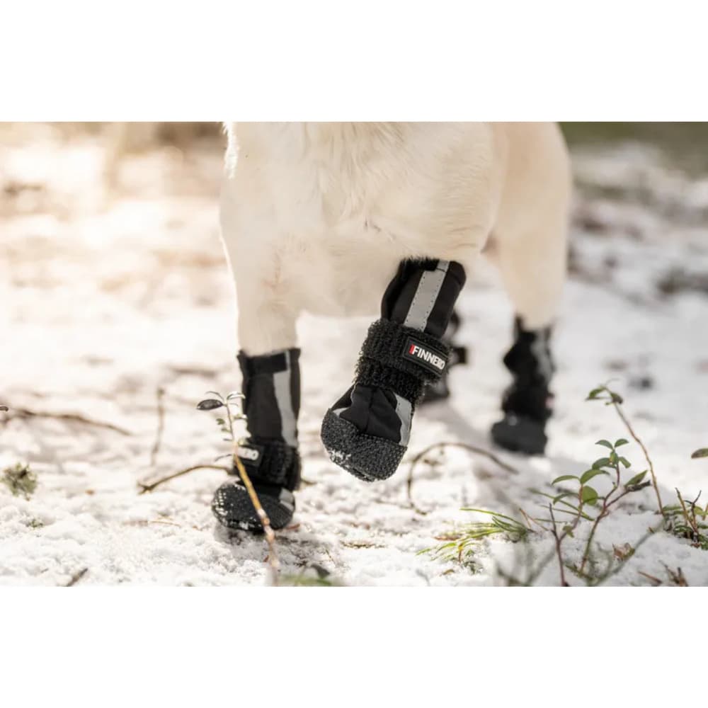 Hundsko Halla Softshell 4 Pack Svart, view: 1