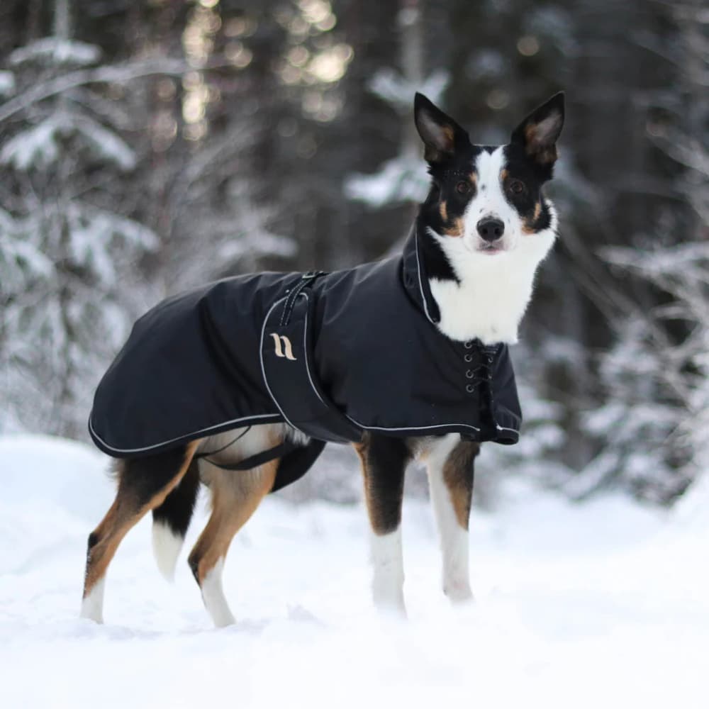 Hundedekken Sunny fôret 25-35 cm svart, view: 1