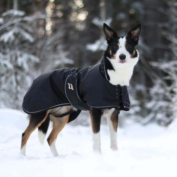 Hundedekken Sunny fôret 25-35 cm svart, view: 1