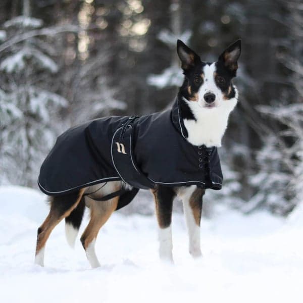 Hundtäcke Sunny Fodrat 40-50 cm Svart, view: 1