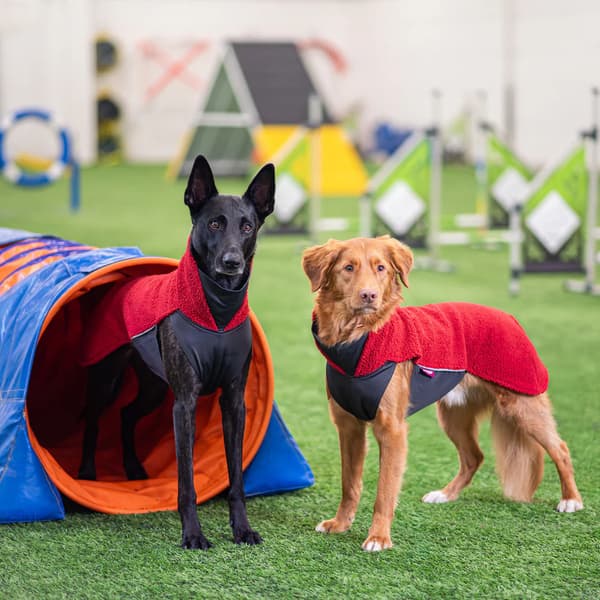 PolarPomppa 44 - 48 cm Rowanberry, view: 4