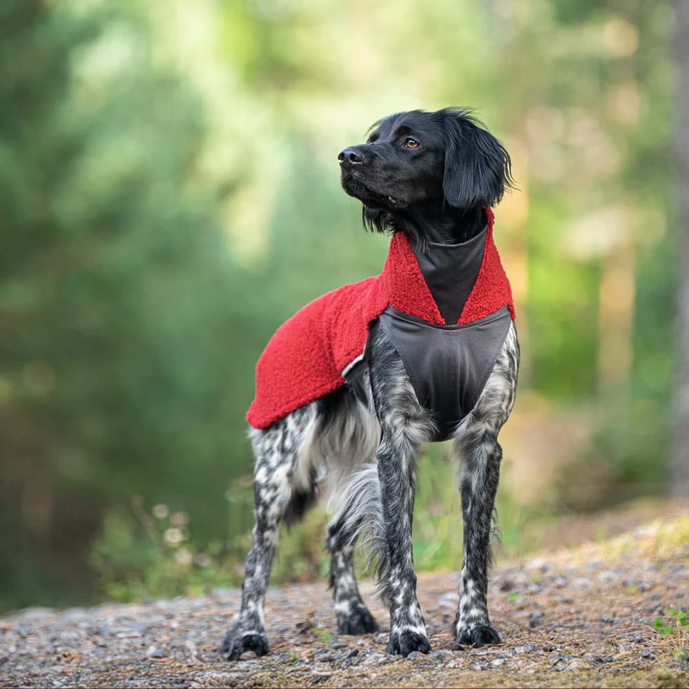 PolarPomppa 52 -56 cm Rowanberry, view: 1