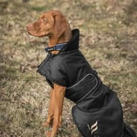 Stanley fôret regndekken til hund 70–90 cm svart - view: 1