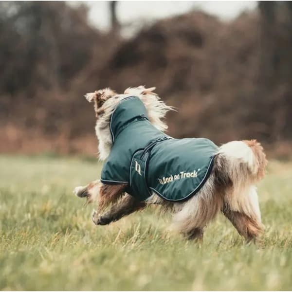 Hundedekken Sunny foret 85 cm grønn, view: 1