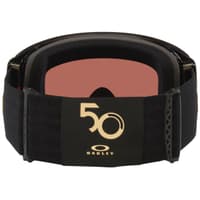 Flight Deck Pro L Mettalic Black Gold / Prizm 24K & Prizm Iced - view: 2