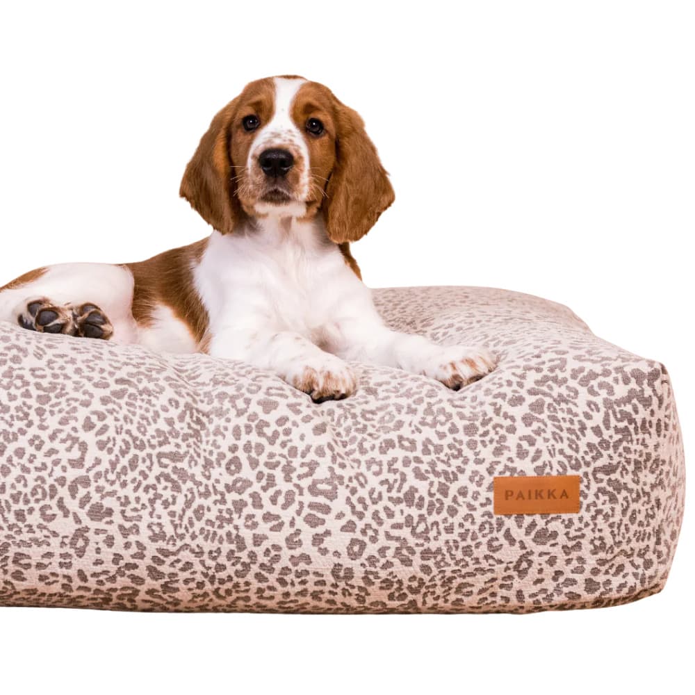 Bed Stone Leo 125x80x20 cm, view: 2