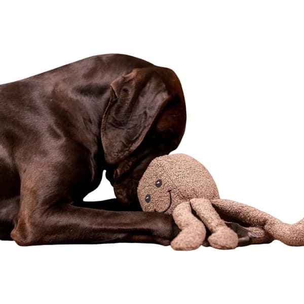 Bouclé Octopus, view: 1