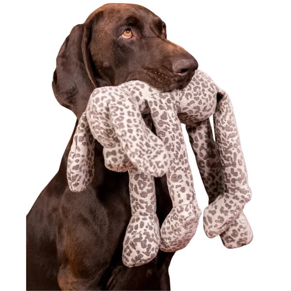 Stone Leo Hound, view: 1