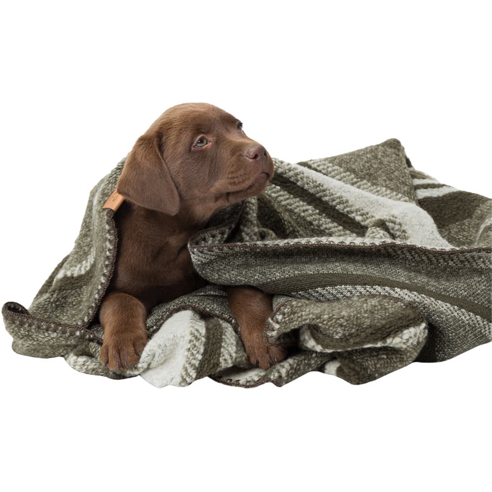 Dog Blanket S Evergreen, view: 2