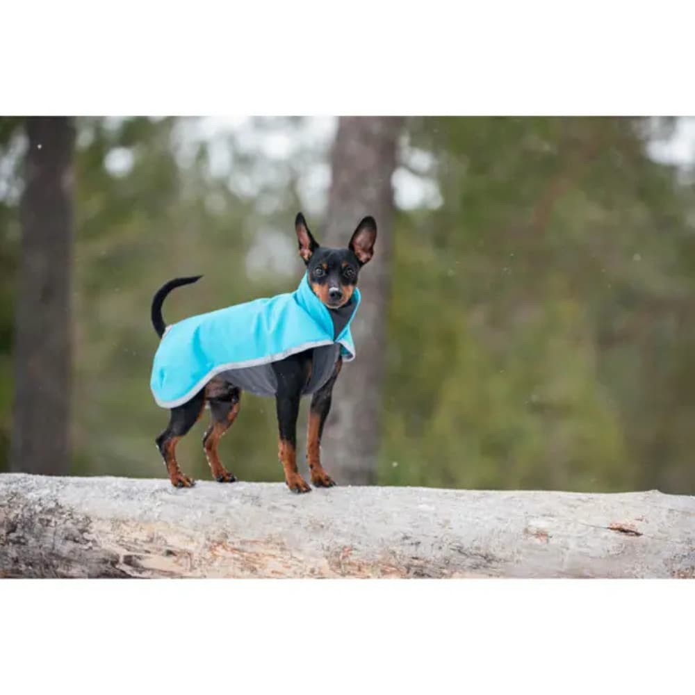 Sportti 60-65 cm Arctic, view: 2