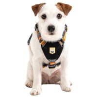 Nightless Night Harness XXS-S Multi - view: 1