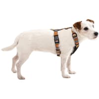 Nightless Night Harness XXS-S Multi - view: 2