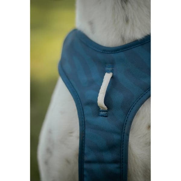 Roam Harness S Deep Teal Ripple, view: 4