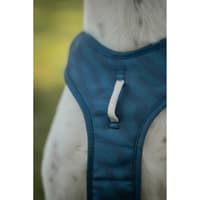 Roam Harness S Deep Teal Ripple - view: 4