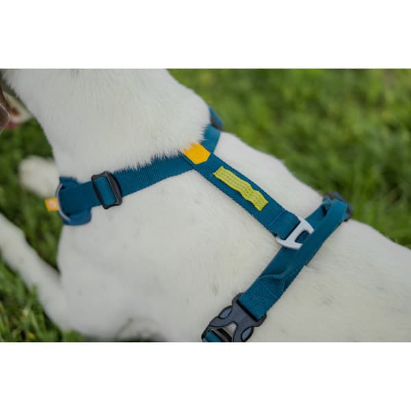Roam Harness XS Deep Teal Ripple, view: 5