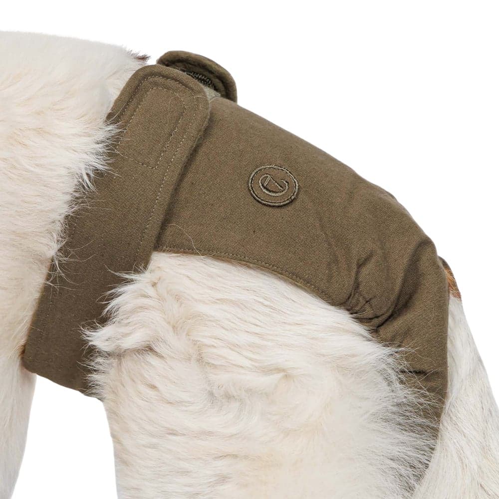 Dog Panties Size M-XXL Olive, view: 1