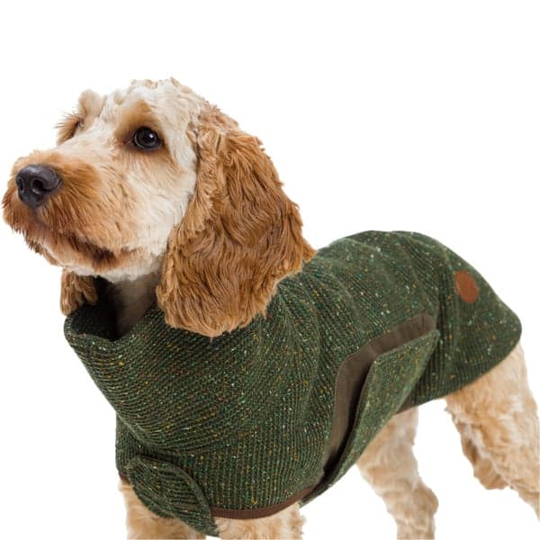 Dog Sweater Dorset Bottle Green, view: 3