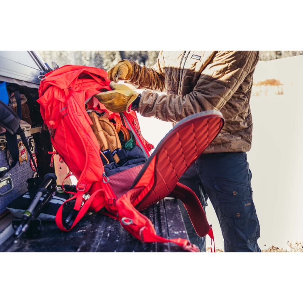 Alpine Targhee 45 Gamma Red, view: 7