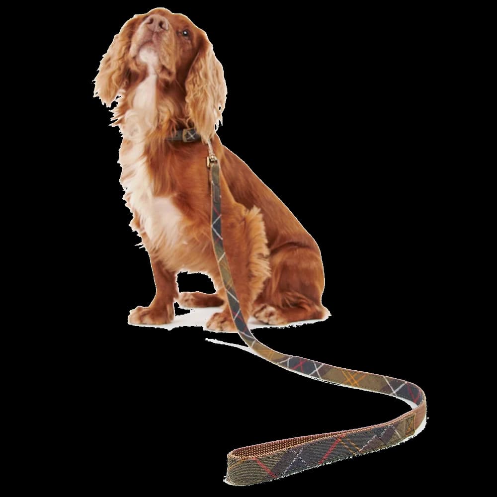 Tartan/Webbing Dog Lead Classic Tartan, view: 0