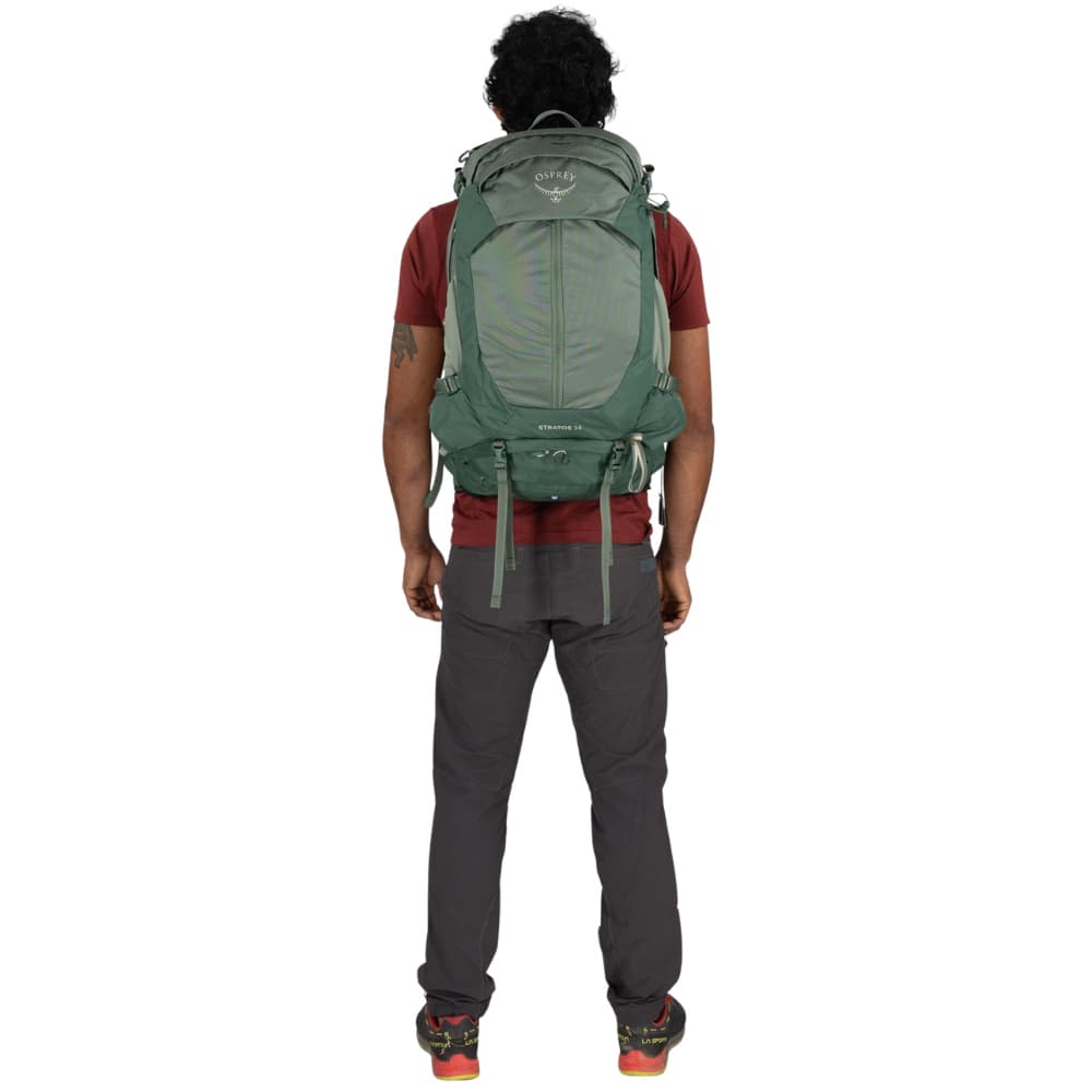 Stratos 36 Pine Leaf Green, view: 5