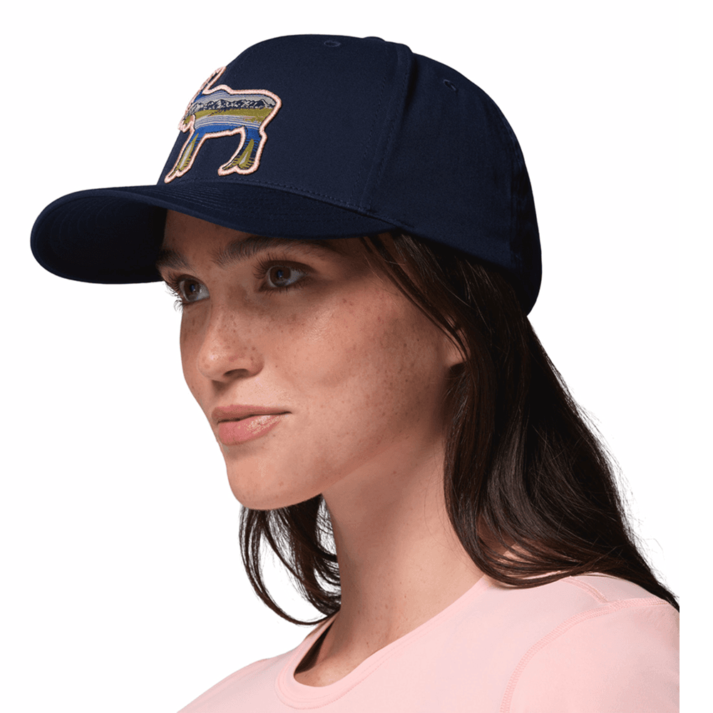 Lost Lager™ 3D Stretch Snap Back Collegiate Navy, Moose, view: 4