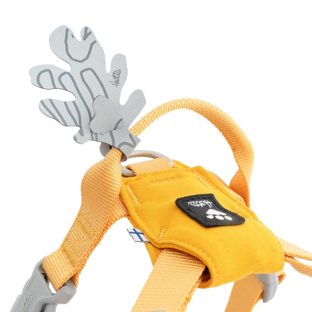 Seeker Harness 35-45, 40-50 Forest, view: 1