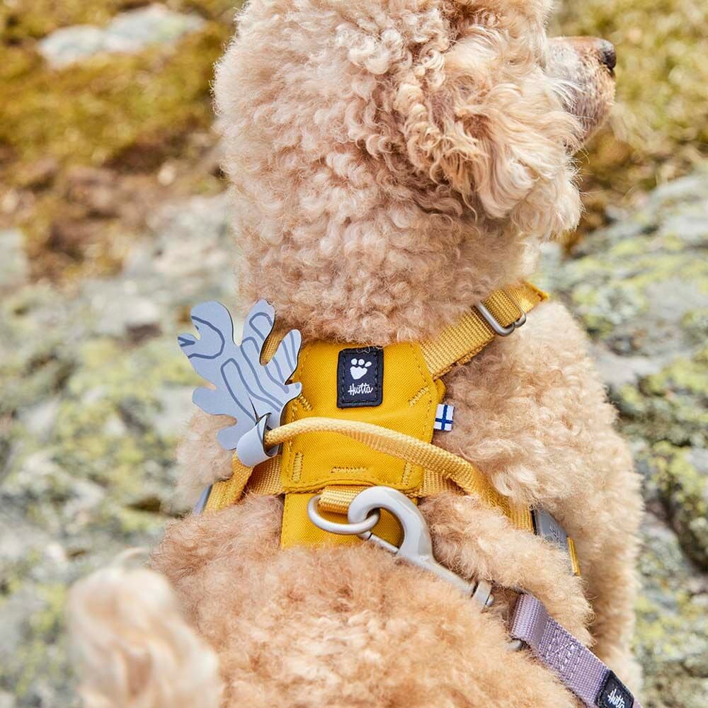 Seeker Harness 35-45, 40-50 Honey, view: 4