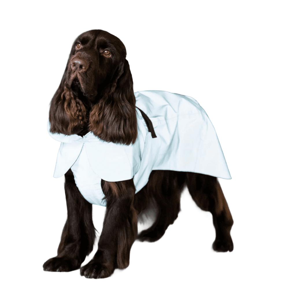 Visibility Raincoat Lite 25-30 Cabbage, view: 2