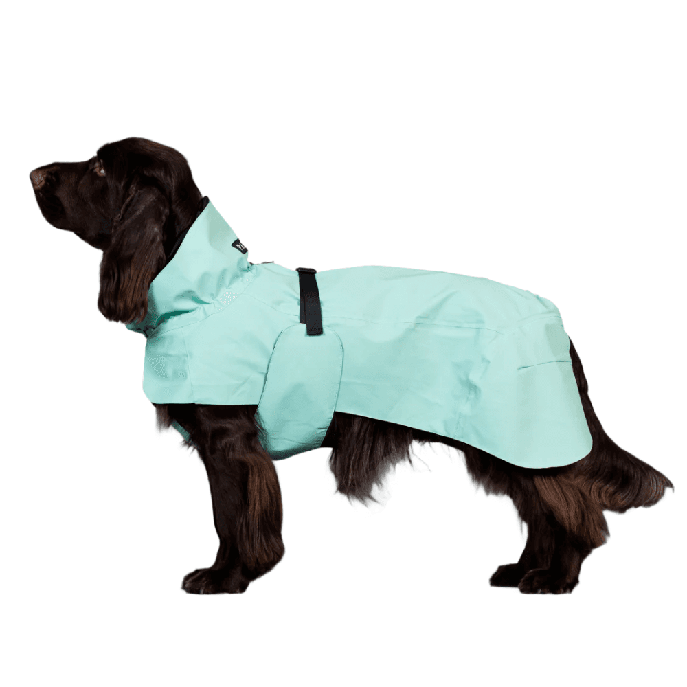 Visibility Raincoat Lite 25-30 Cabbage, view: 1