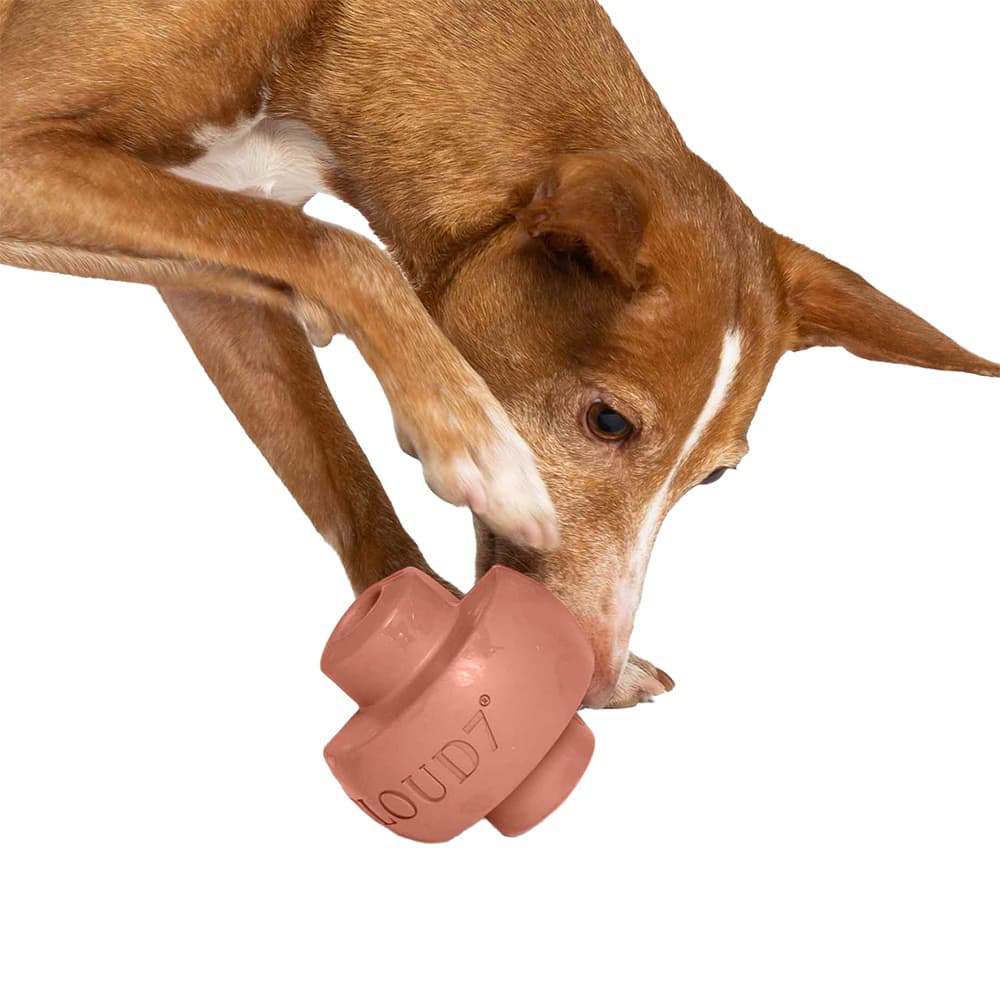 Treat Dispensing Toy Zeno Faded Rose, view: 2