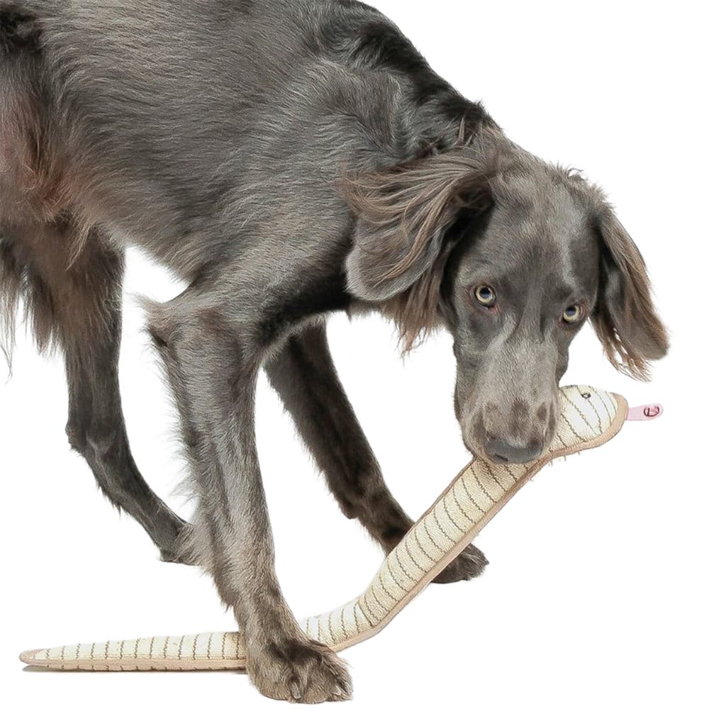 Dog Toy Snake Smilla, view: 2