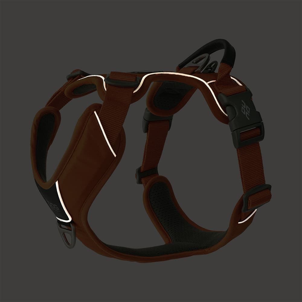Comfort Walk Pro Harness L Lemon, view: 4