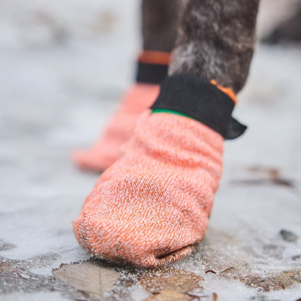 Protector Light Socks Orange, view: 1