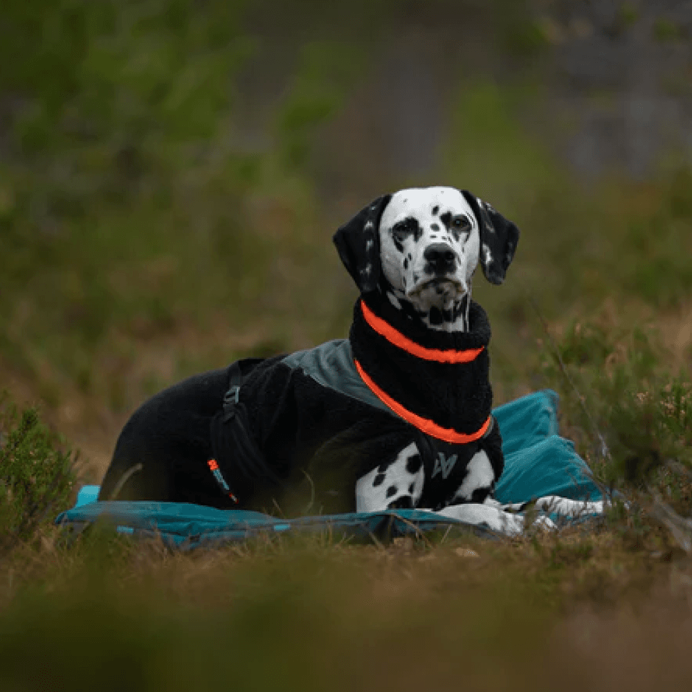 Trekking Fleece Dog Jacket 30-36 Black/Orange, view: 1