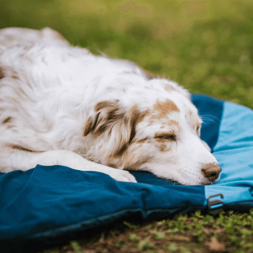 Trekking Dog Bed M Dark Teal, view: 3