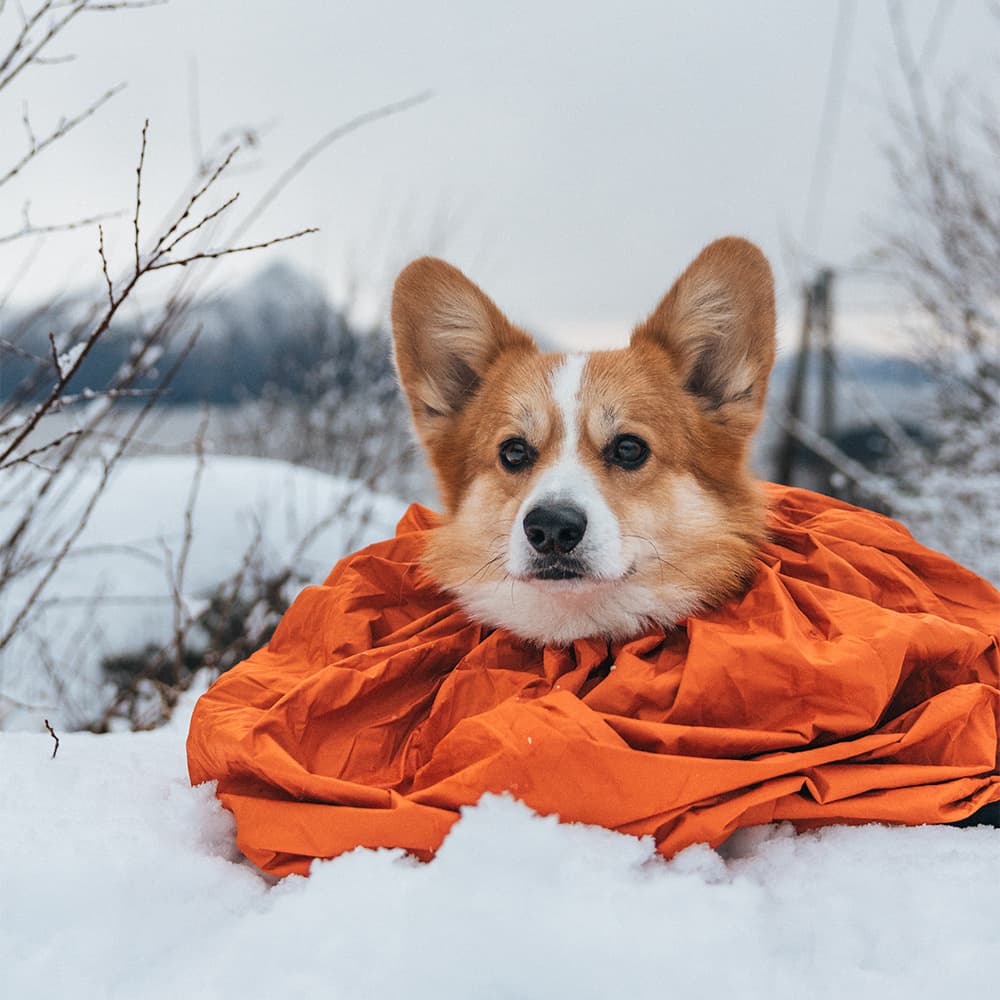 Protector Bivvy Bag L Orange, view: 2