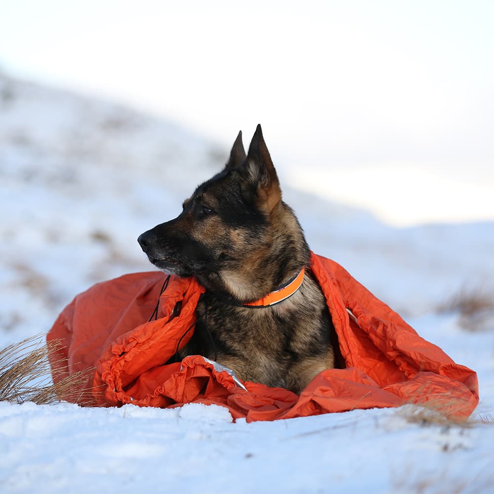 Protector Bivvy Bag L Orange, view: 3