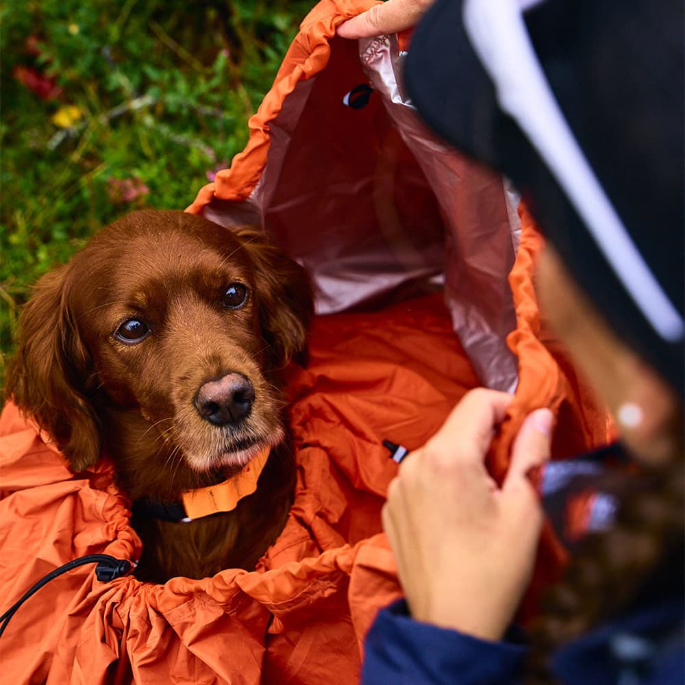Protector Bivvy Bag L Orange, view: 4