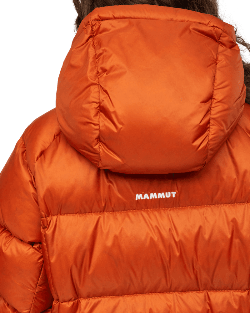 W's Glacier Glow In Hooded Jacket Autumn Larice, view: 5