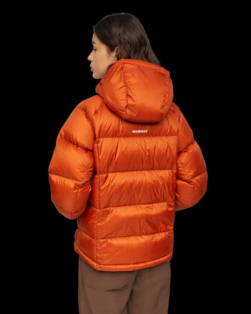 W's Glacier Glow In Hooded Jacket Autumn Larice, view: 2