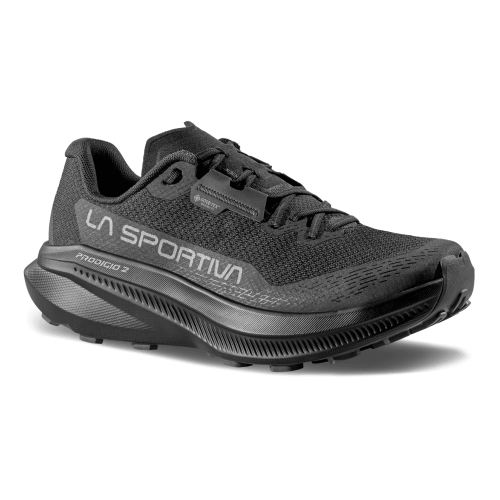 Prodigio 2 GTX Black/Reflective, view: 0