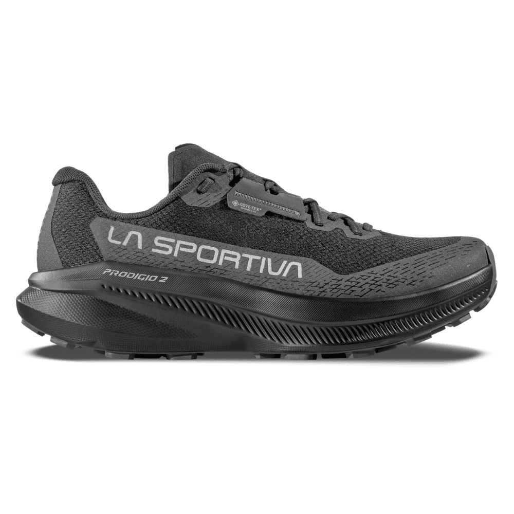 Prodigio 2 GTX Black/Reflective, view: 1