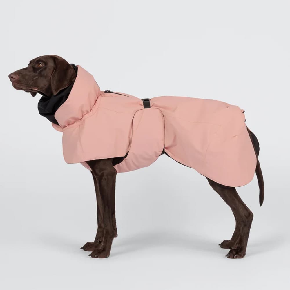 Visibility Winter Jacket Seawool 55-70 cm Rose, view: 7
