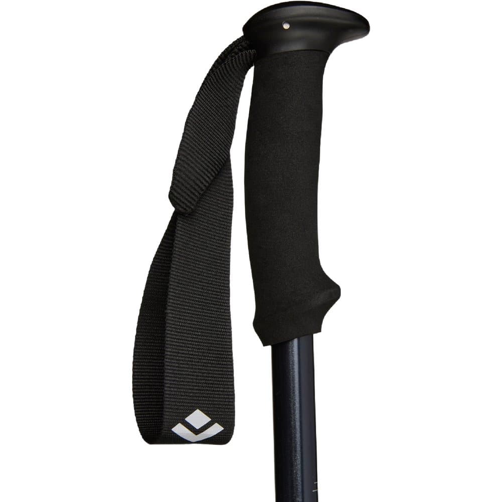 Explorer 2 Trekking Poles Ink Blue, view: 2