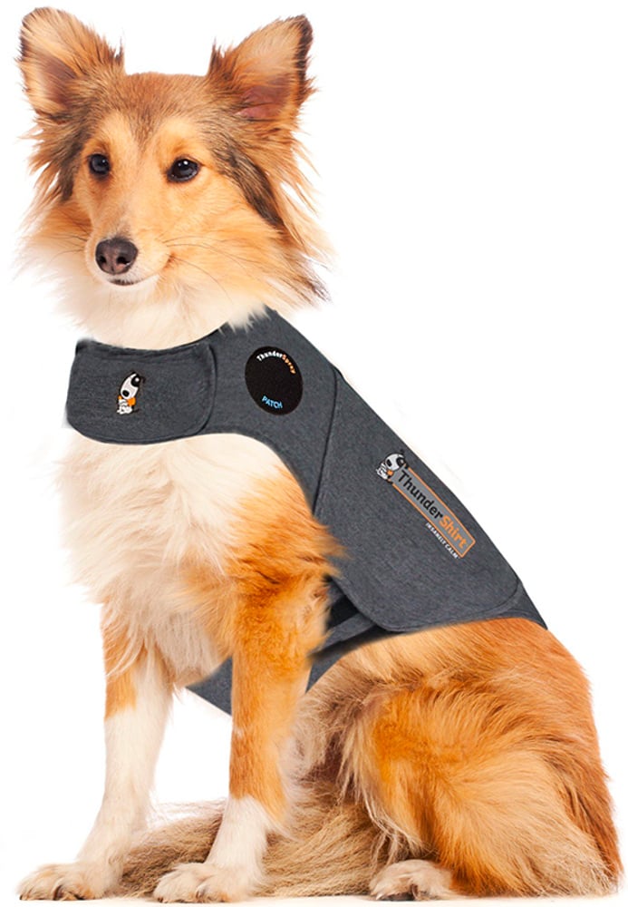 productImage: Hund S-M