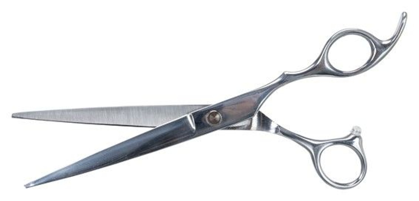 productImage: Professional Trimmesaks 20 cm