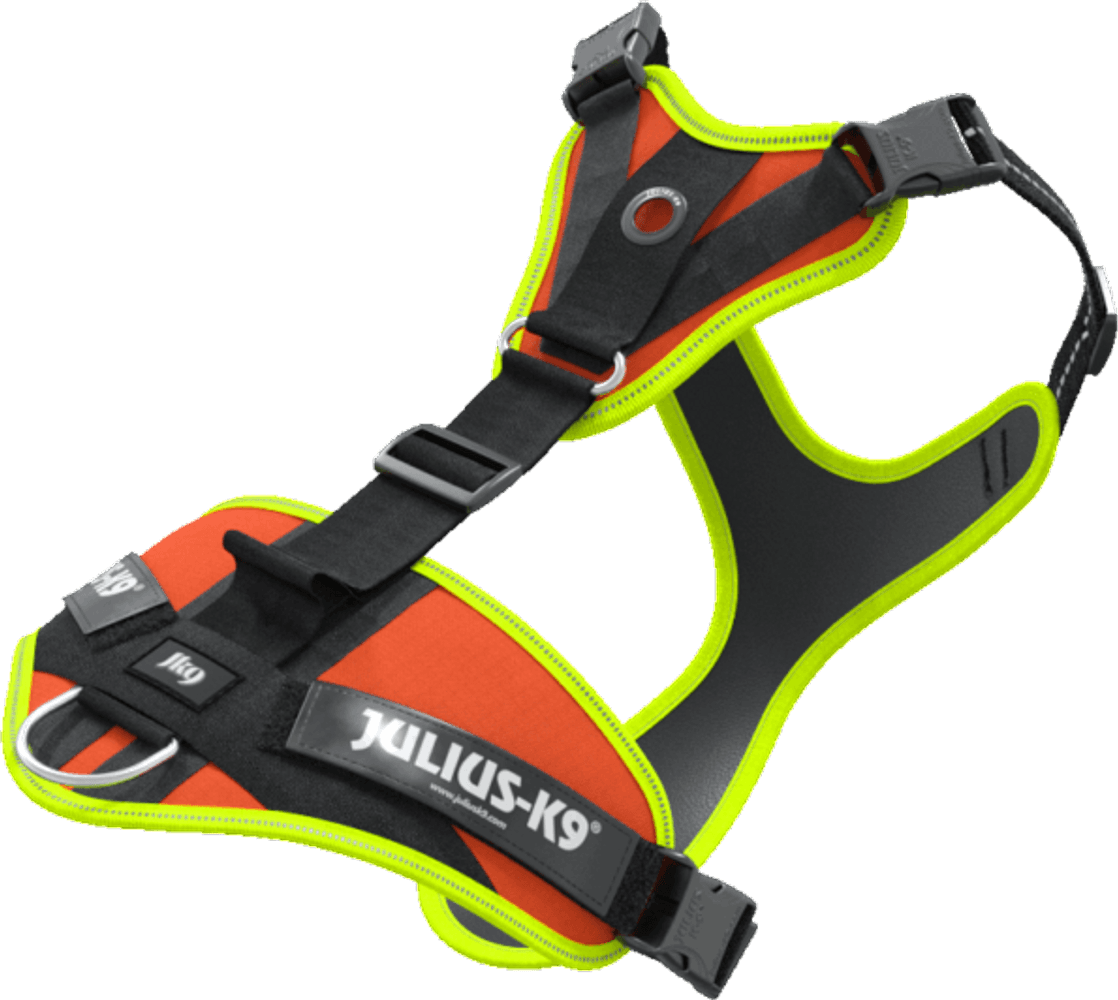 productImage: Mantrailing Sele Orange XS-S